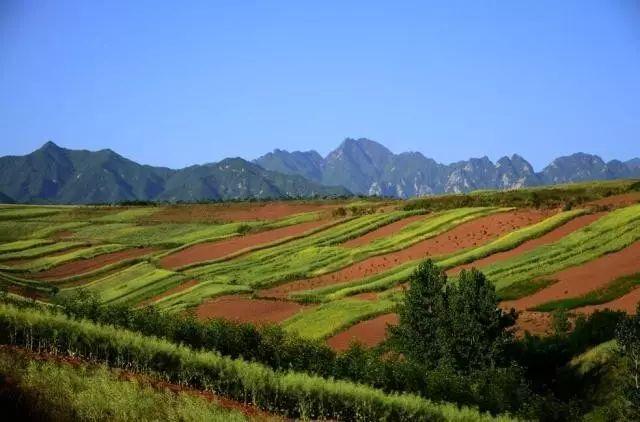 蓝田这些世外桃源般的绝美村落,你去过几个?-旅游频道-手机搜狐