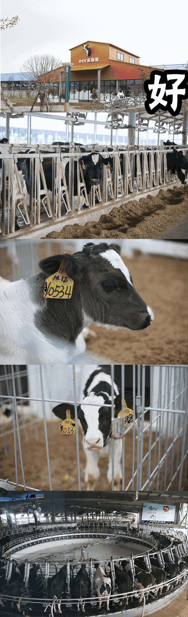 戳我,喝奶.