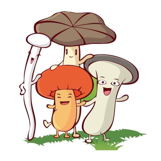 惠姐 三叔 菇菇 太累的童鞋:好心的小编编,我上次在法国餐厅吃的