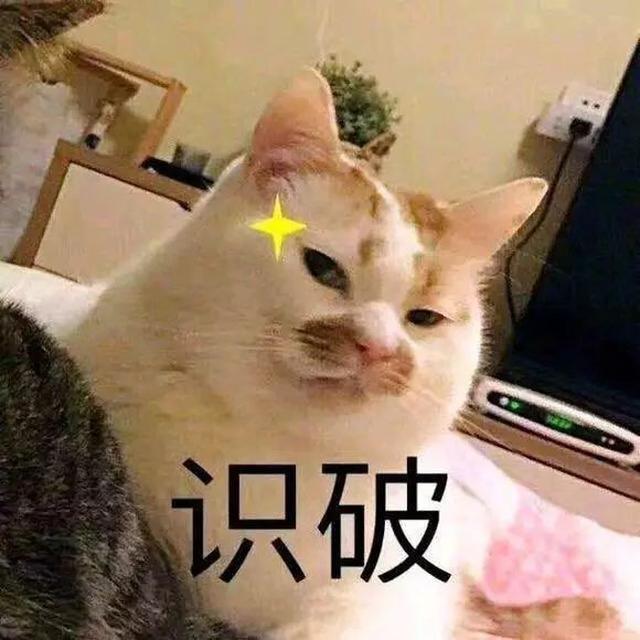 【慧生活】这年头吃的连猫都不如,这种日子还要过多久