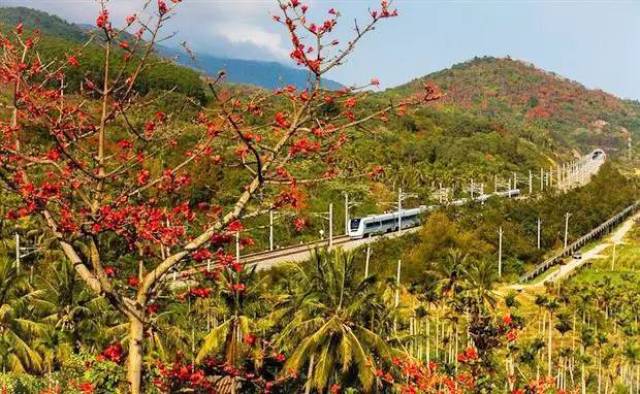 红角岭是海南五指山延续山脉牛岭中的一段,位于陵水县城东北方向约10