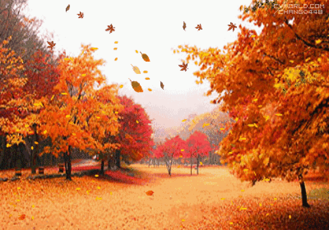 带着喜欢的人一起来看最美的秋天吧!