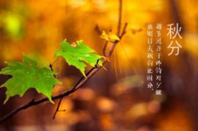 又是一年秋叶黄,一场秋雨一层凉