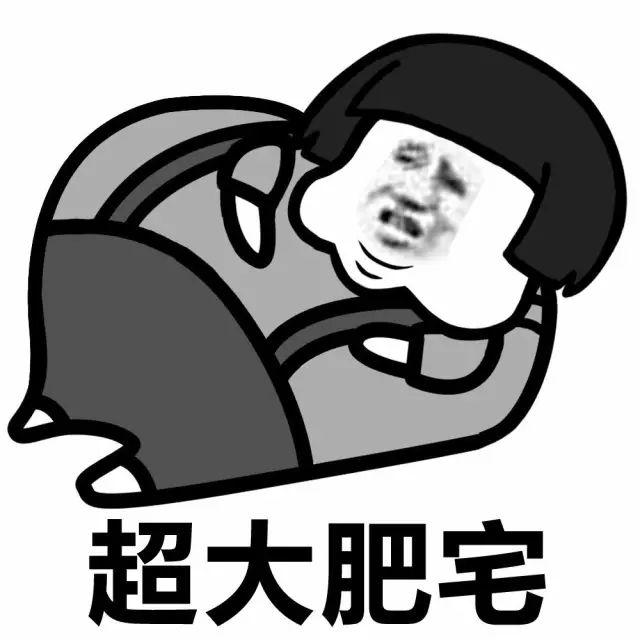 形容胡乱使用别人说的话的成语突然想不起来了