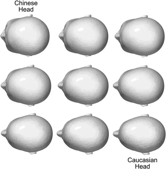 加拿大的一项抽样调查发现,东亚裔男性成年人的头围平均为57.