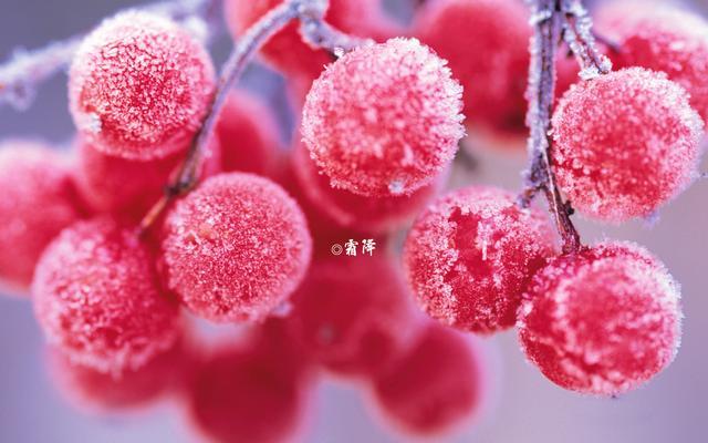 今日13时迎秋季最后节气"霜降" 四川多地已迎来降雪