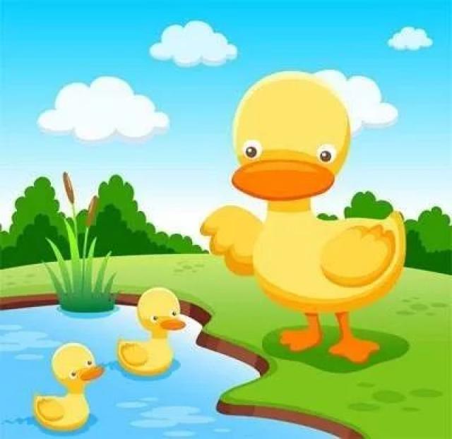 胎教故事 丨 小小鸭子学游泳