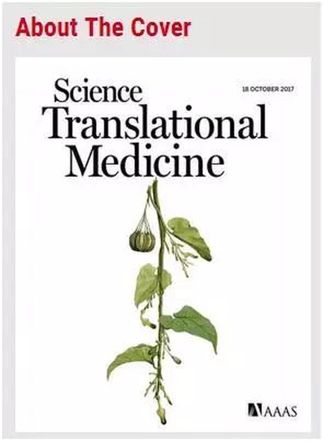 medicine怎么读,dentist怎么读 能在《science translation medicine》发表的,影响力度之大可想而知.