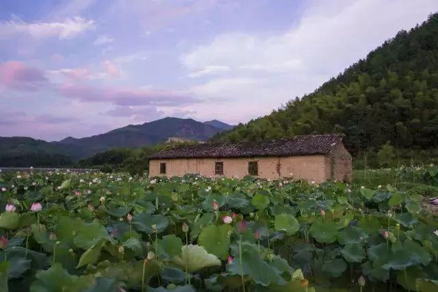 地址:浙江丽水景宁畲族大漈乡云中大漈风景区 遂昌千佛山景区 地址