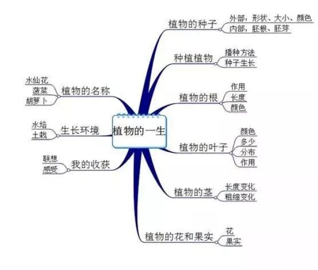 好课| 科学作文:植物的一生   