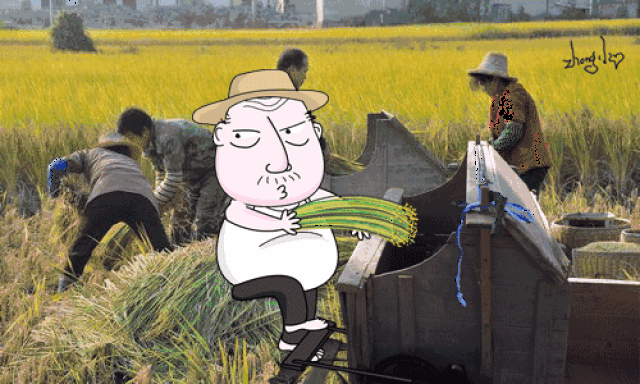 壁纸 成片种植 风景 植物 种植基地 桌面 500_300 gif 动态图 动图
