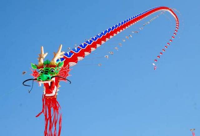 软翅类风筝