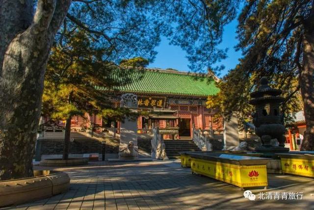 青青旅行 | 10.28 潭柘寺赏帝王树银杏,戒台寺秋色怡人