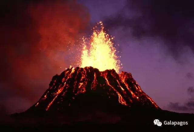 瓦努阿图的安布里姆岛,刚果金的尼拉贡戈火山,南极洲的埃里伯斯火山和