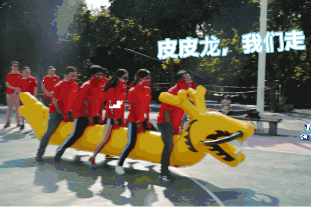 善良正直的小五想说, 以下图片不是故意的, 宝宝只是想给大家一个