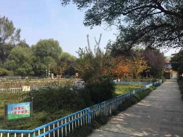 不敢相信,驻马店原来是这个样子!