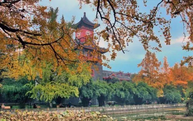 武汉大学