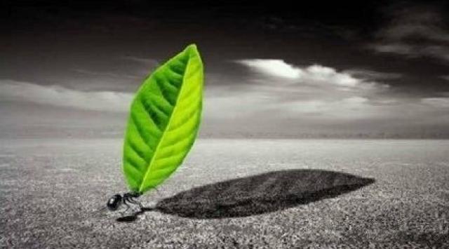 忍的最高境界的几句话