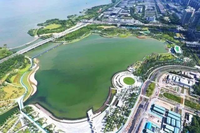 深圳人才公园鸟瞰图