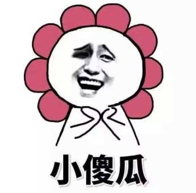 【段子】我看你们是想笑死我好继承我的表情包吧!