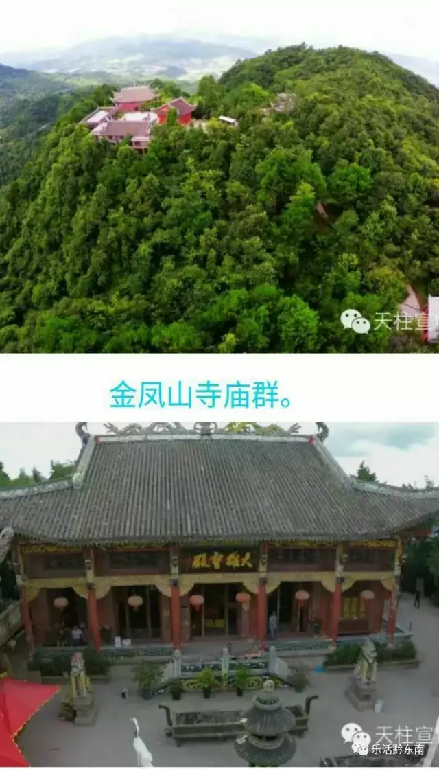 那么我再带你到我们邦洞的乡村去看看: (1)金凤山上的金山寺:那里森林