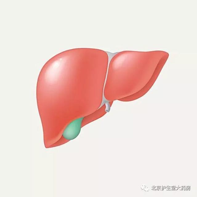 肝病症状5:腹壁静脉曲张