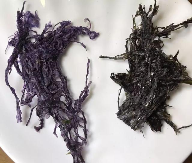 千挑万选的优质头水紫菜,富含维生素和微量元素,免洗无沙,辅食百搭