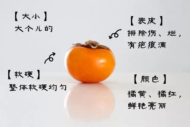 【柿子说】| 我家来了新伙伴,别再光捡软的捏啦 个 
