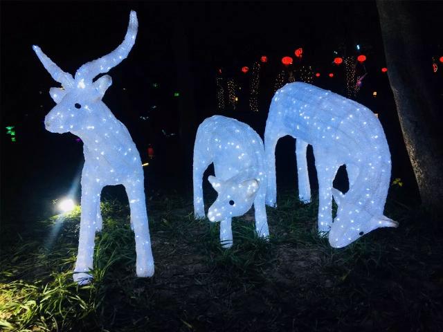 lighting show正在上演!快来西溪湿地打卡吧!