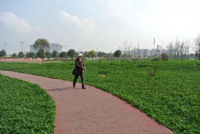 滨河公园等公园绿地;建成北星大道,大天路,天龙大道,南丰大道,大丰