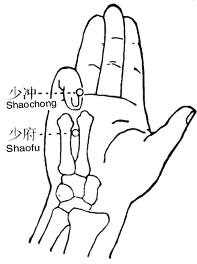 293_391 竖版 竖屏