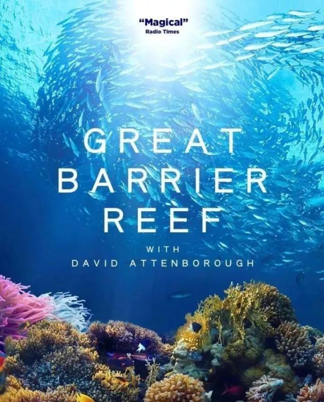 great barrier reef with david attenborough