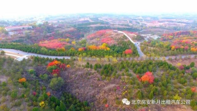 房山青龙湖森林公园深秋航拍视频曝光,简直美翻了!
