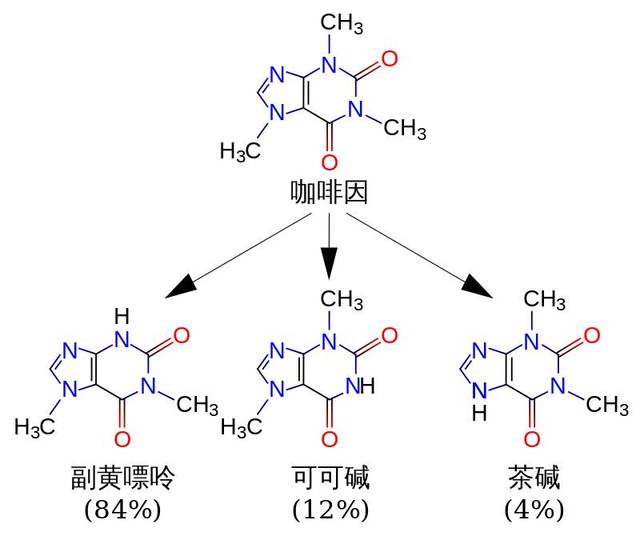 从结构上看后两者比咖啡因少一个甲基,而对人体的兴奋作用也都比咖啡