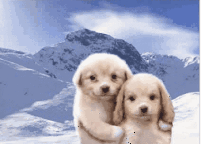 400_286gif 动态图 动图