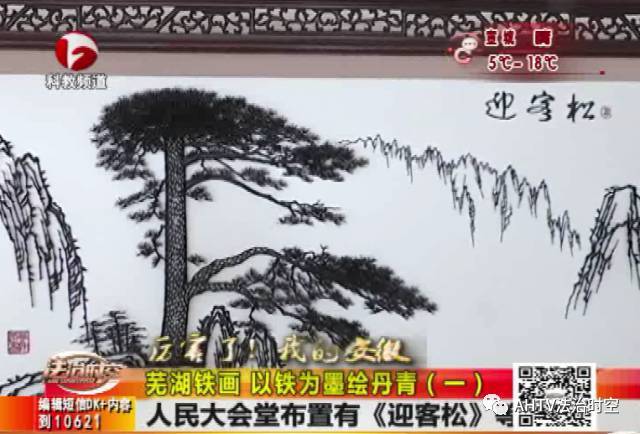 人民大会堂布置有《迎客松》等多幅铁画作品,2006年,芜湖铁画被