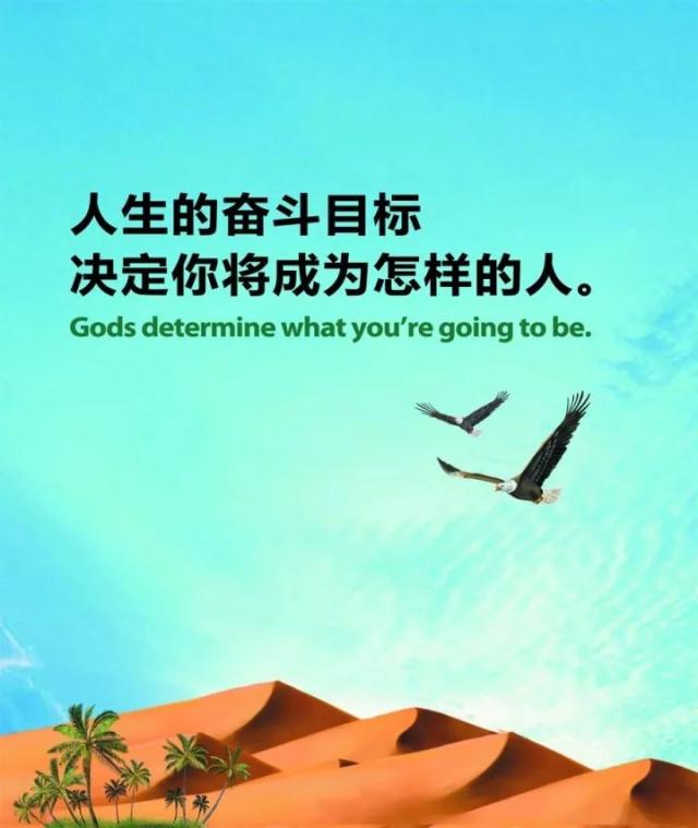 犹豫一千次都不如实践一次,所有的努力和付出一定会有收获