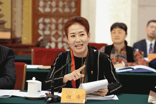 十九大代表,太原市晋剧艺术研究院名誉院长, 著名晋剧表演艺术家谢涛