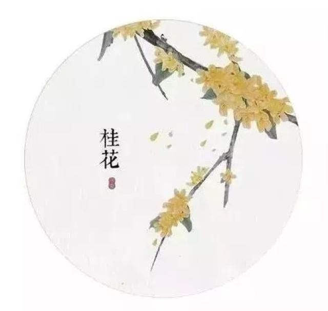 又是一年桂花香