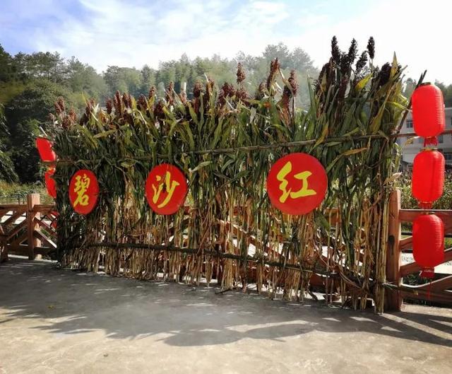 碧沙村的古建筑很多,唯独这天后宫(古衙门)独具韵味