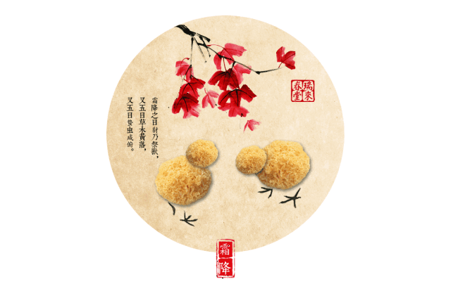 超萌的中药版二十四节气养生动态图