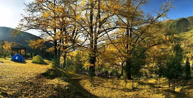 盘县妥乐古银杏旅游景区