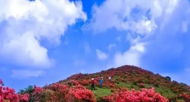 在福州,突然有点羡慕你们住在闽清的!