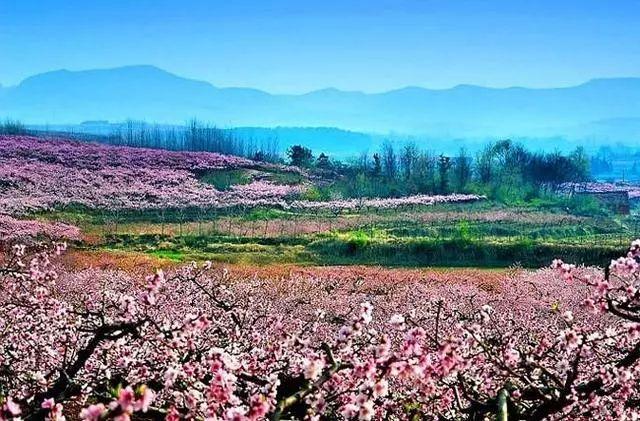 外沟村 袁冲乡郝岗村 洪山嘴镇太山庙村  光化办事处徐家滩村 平林镇