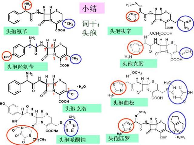 药物化学丨抗生素