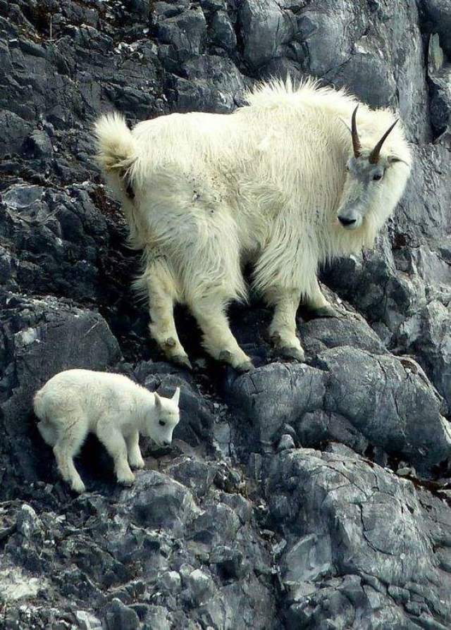 άֺܺõƽ (С˺ܾõɽͼ,ȫ