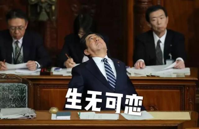 安倍进军表情包,在政客为吸粉玩的仙儿招里这不算啥