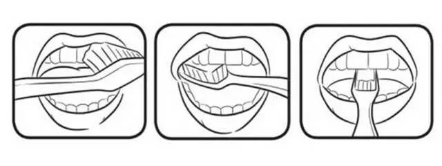 a. 手动刷牙记得用巴氏刷牙法