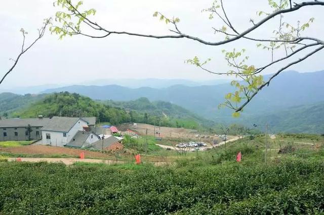 久合垸乡更名垸村 团山寺镇过脉岭村 桃花山镇漆家铺村 天鹅洲开发区