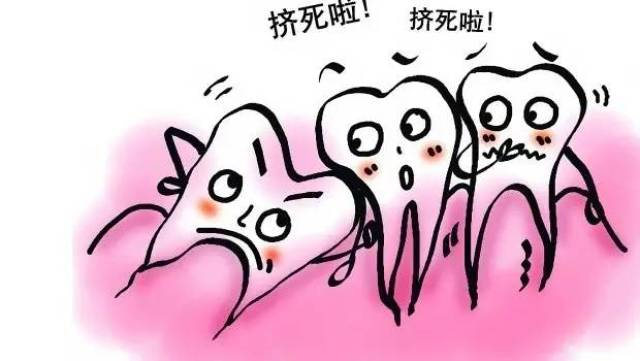 萌出,而乳牙却迟迟不掉,占据了原本应该属于恒牙的位置,出现双排牙